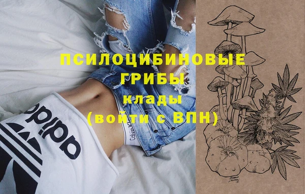 прущая мука Мегион